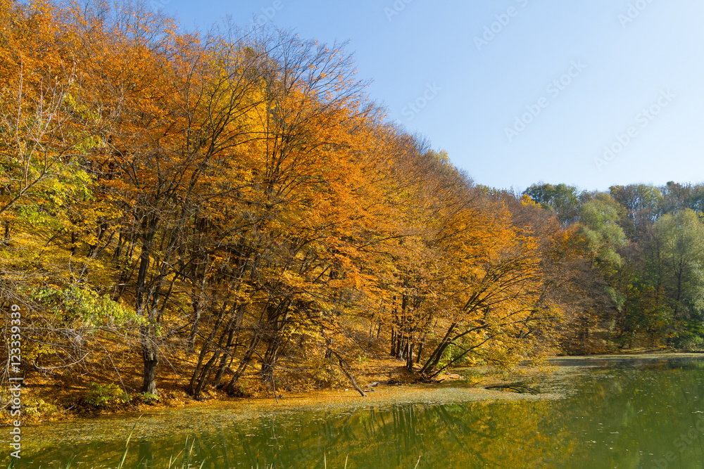 Autumn season landscape