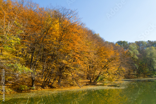 Autumn season landscape