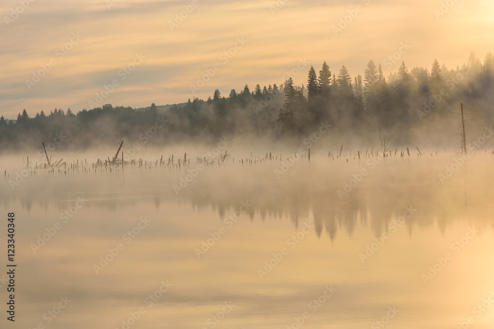 lake sunrise fog peach