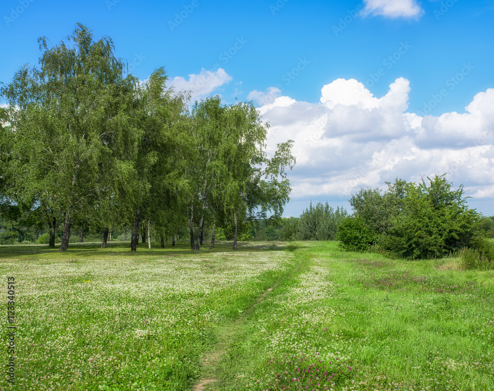 Eastern Europe summer landscape