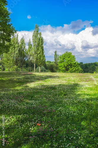 Eastern Europe summer landscape © arkady_z