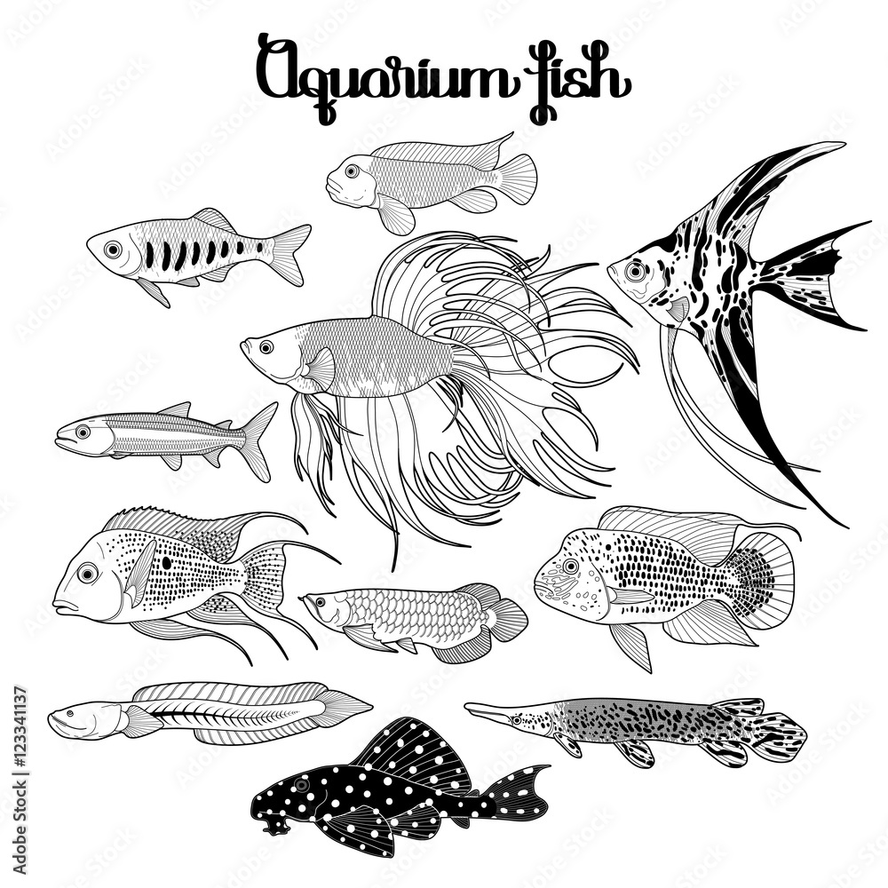 Graphic aquarium fish set Graphic aquarium fish set