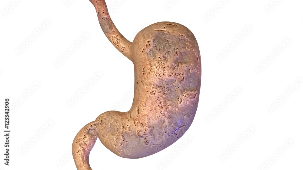 Obraz premium 3d illustration human anatomy with internal organs and muscles