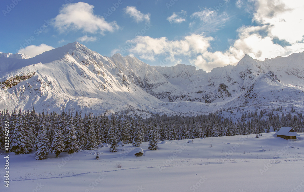 Beautiful scenery of the great snowy mountain peaks