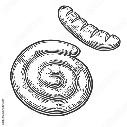 Sausage. Vintage vector engraving illustration