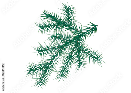 fir-tree