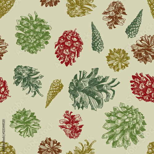 Pattern with drawn pine cones