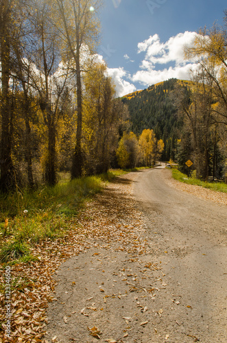 Fall Backroad