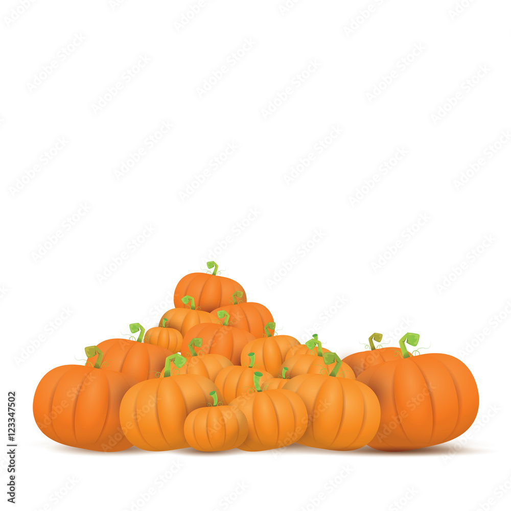 autumn vector pumpkins border design template