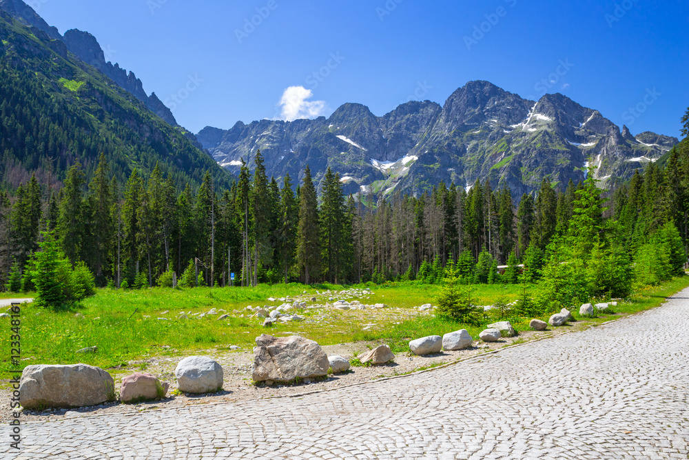Naklejka premium Beautiful scenery of the trail in Tatra mountains, Poland