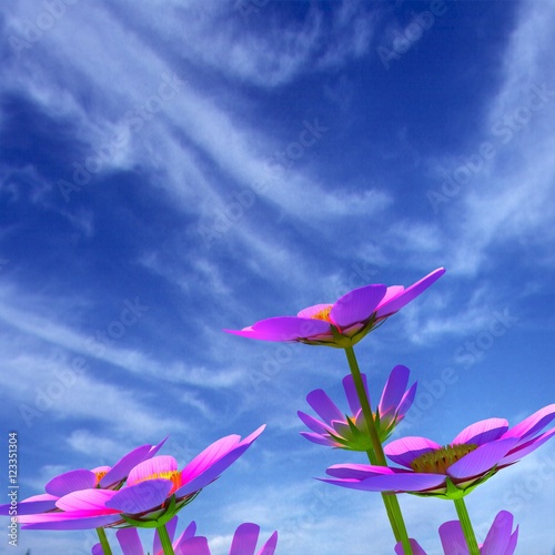 Beautiful Cosmos Flower against the sky. 3D illustration.