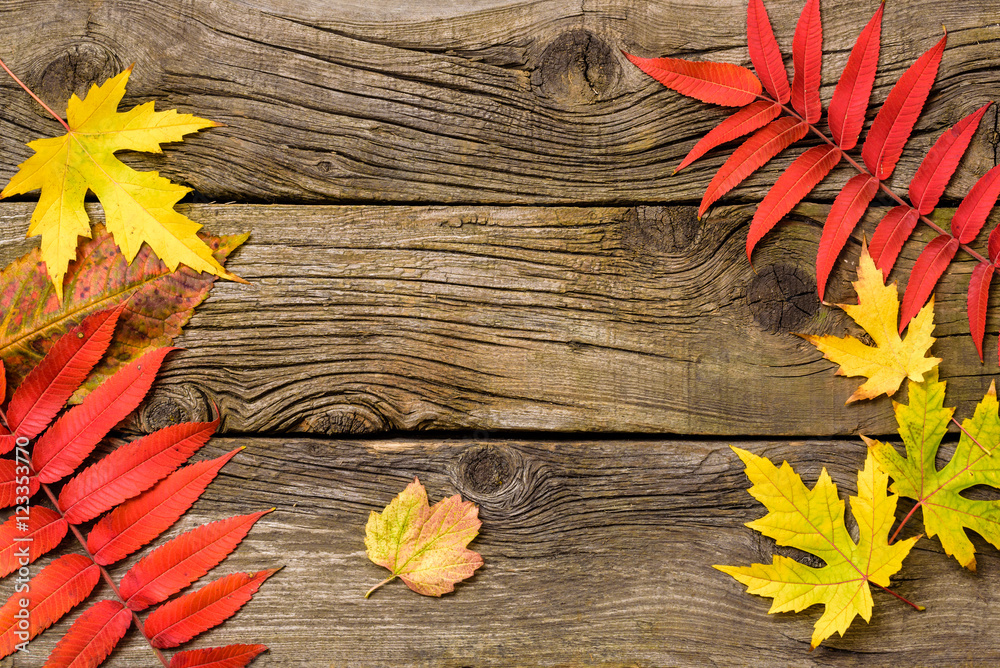 Obraz premium Autumn Leaves over wooden background.Fall. Wood With copy space