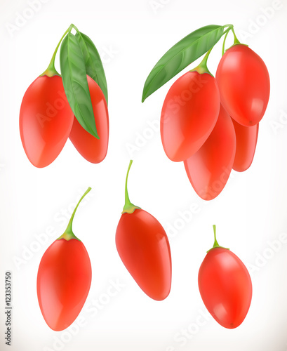 Goji berry. 3d vector icons set. Realistic illustration