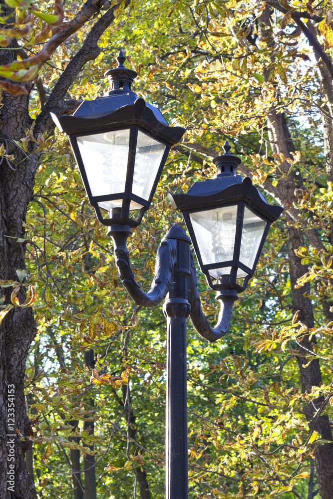 lamppost on a background of yellow autumn foliage