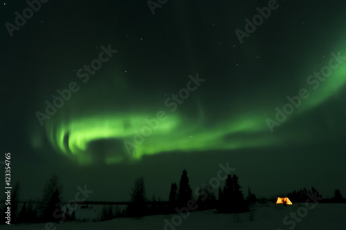 Trappers tent lit up with aurora borealis, northern lights, wapusk national park, Manitoba, Canada. photo