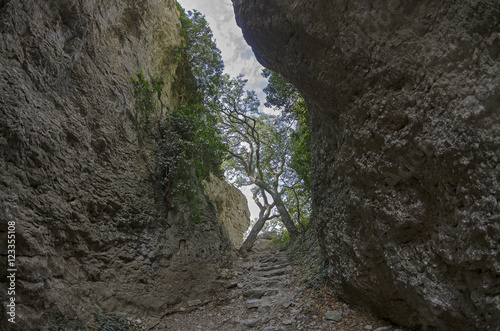 Crimea. View of a narrow gorge.