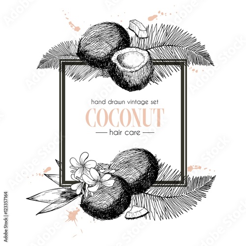 Vector set of hair care ingredients. Organic hand drawn elements. Square border composition.