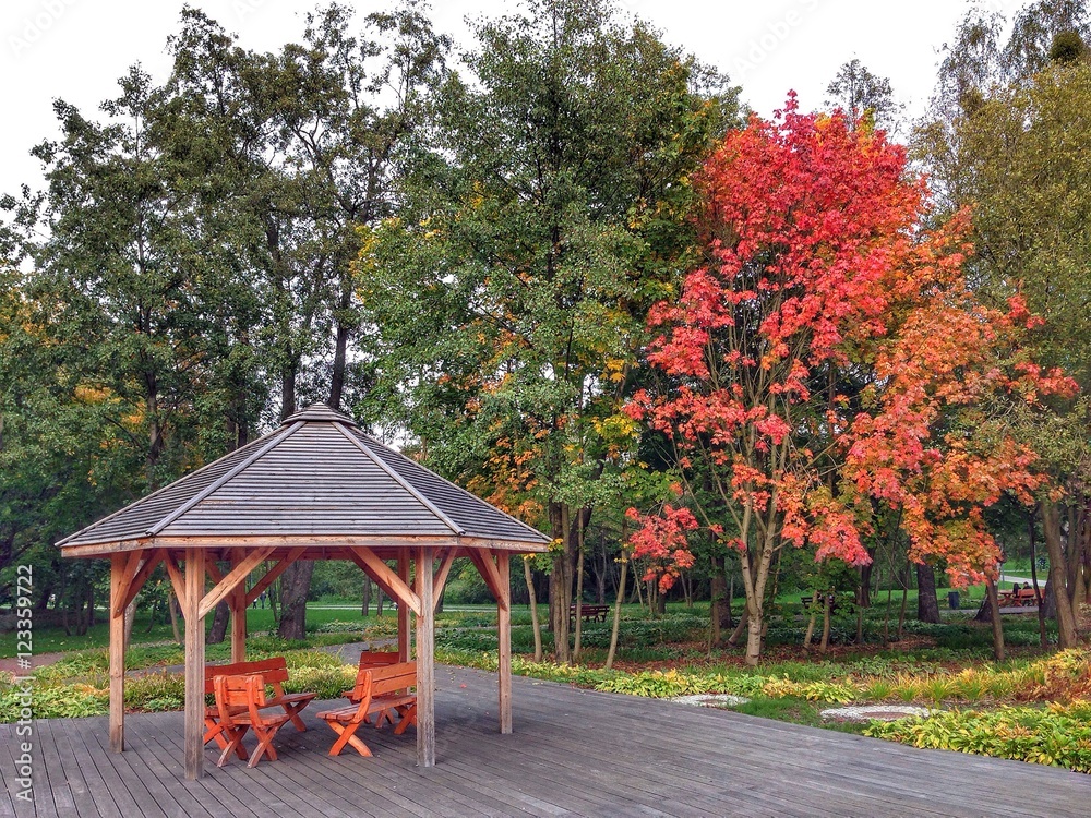 Jesień w Parku Centralnym w Olsztynie Stock Photo | Adobe Stock
