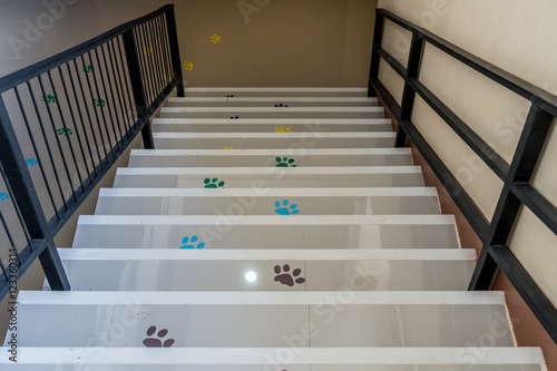 Concrete staircase with animals footprint