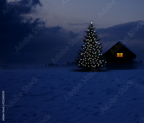 Schihütte mit Tannenbaum