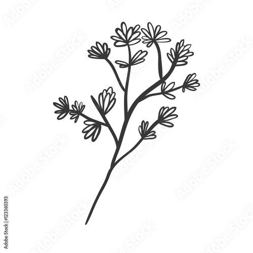 plant with ramifications and flowers vector illustration