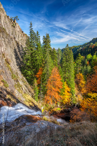 Zadziwiający widok jesień las w Rhodope górach, Bułgaria