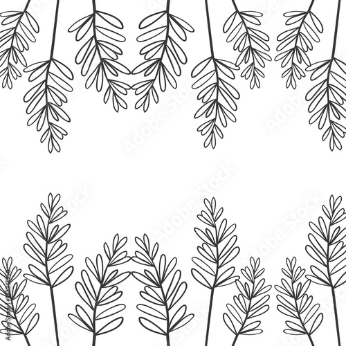 Fototapeta Naklejka Na Ścianę i Meble -  edge of branches with oval leaves vector illustration