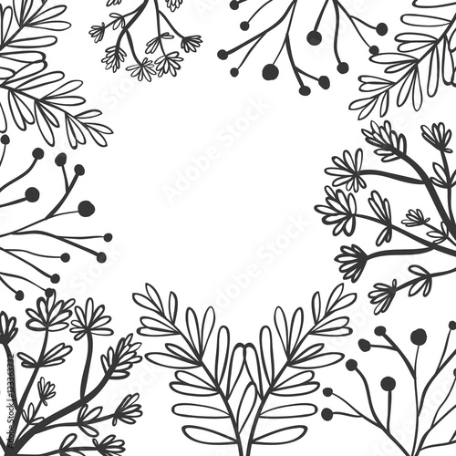frame with a variety of plants vector illustration