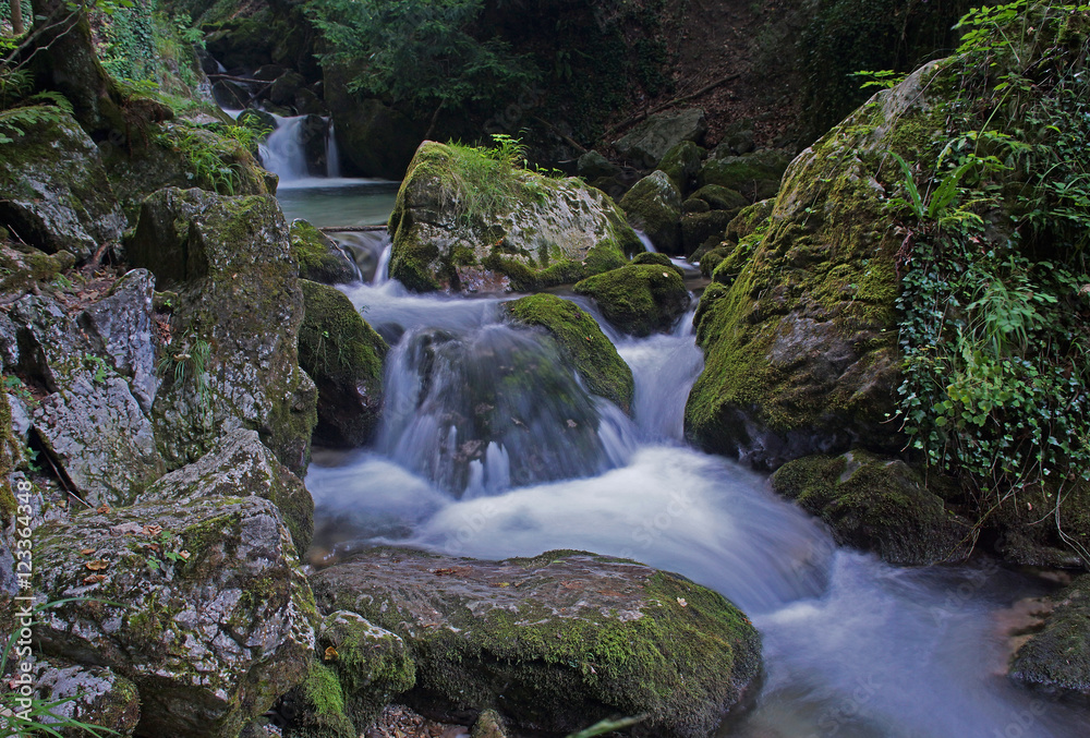 Fototapeta premium Myrafälle - Niederösterreich