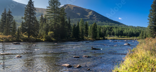 River in the Altai mountains  Russia