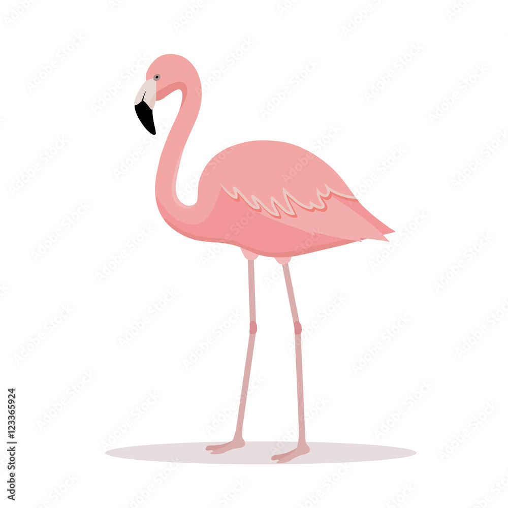 Pink flamingo vector illustration isolated on white background.
