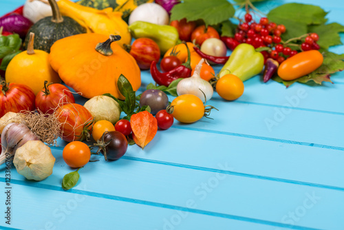 Vegetable background. Fresh peppers  tomatoes  basil  zucchini pumpkin spices and seasoning on blue wooden background. Organic food concept. Space for text.