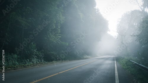 Foggy Straight green wood Highway in Northern of Thailand.