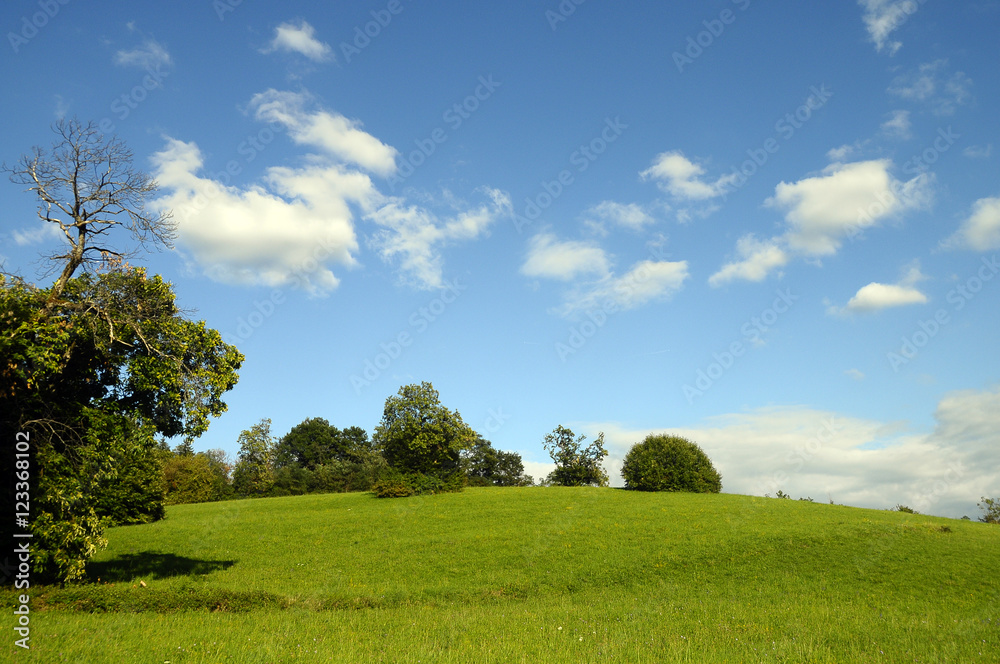 Summer rural landscape in Lovagny, France