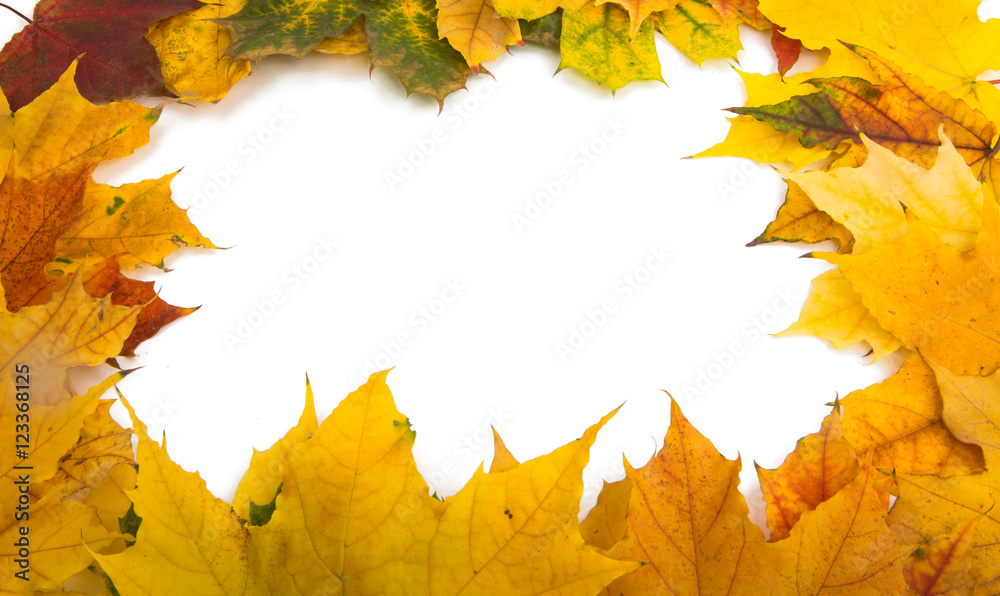 autumn leaves autumn leaves