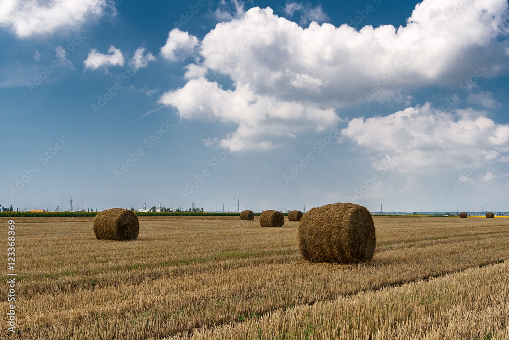 Hay bales on the agricultural field after harvest sunny summer day.