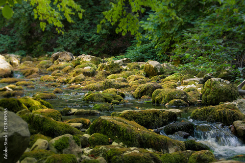 Mountain river flowing through the Grand Canyon of Crimea bottom.