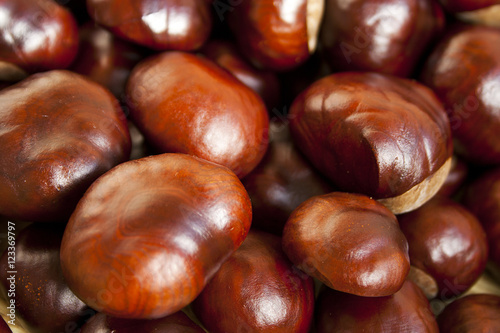 Chestnuts scattered on the floor