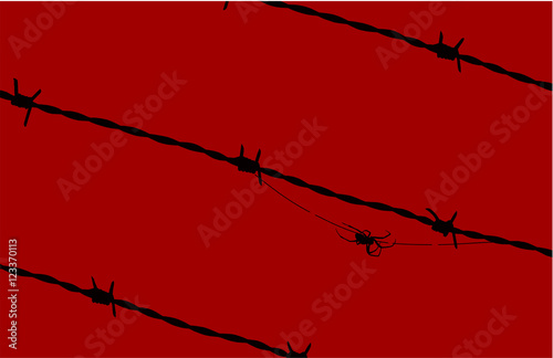 Black spider in barbed wired over a red background.