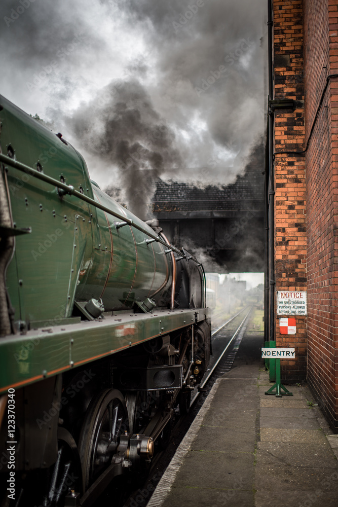 Obraz premium Train in Station