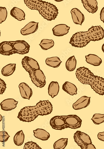 Peanut. Vector drawing