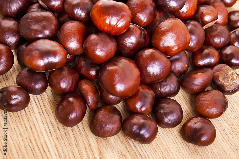 Chestnuts scattered on the floor Chestnuts scattered on the floor