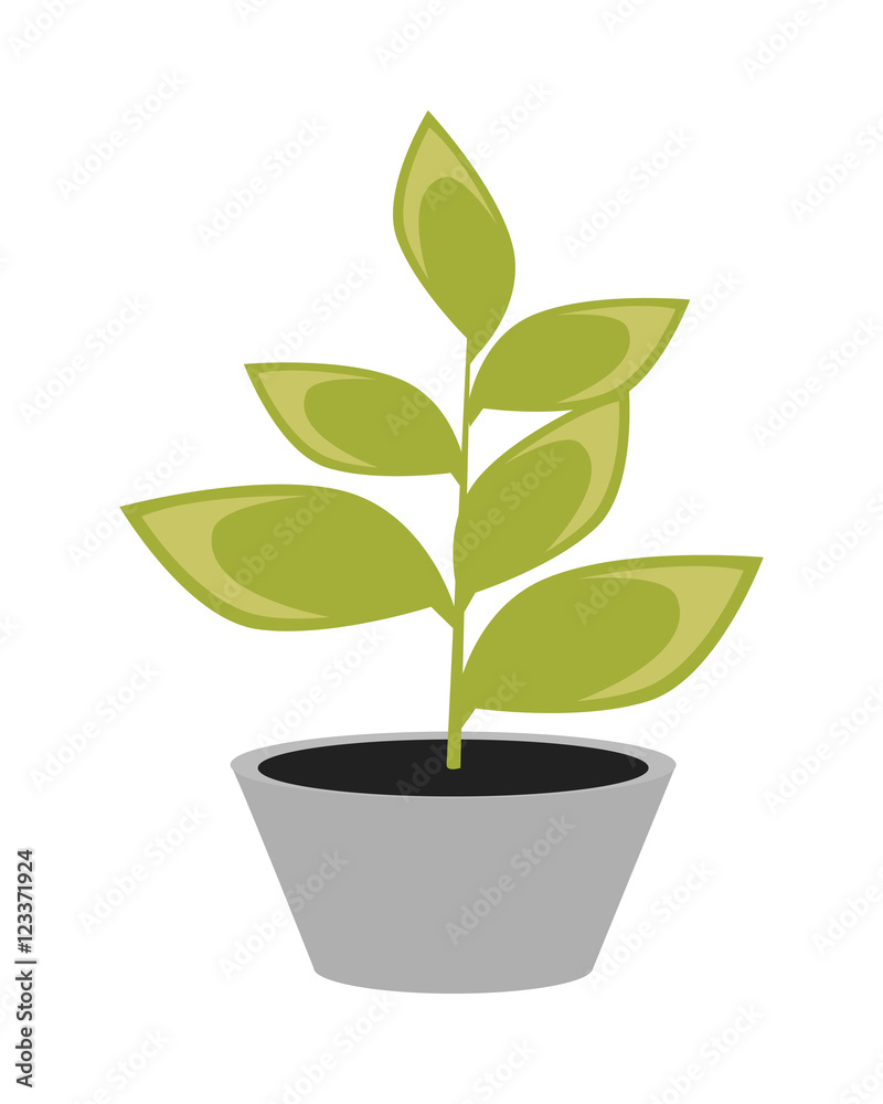 Flower in Pot Flower in Pot