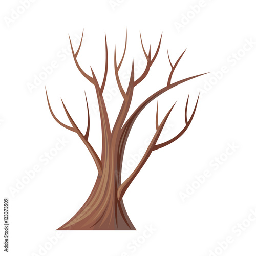 Bare Tree Without Leaves. Oak. Vector