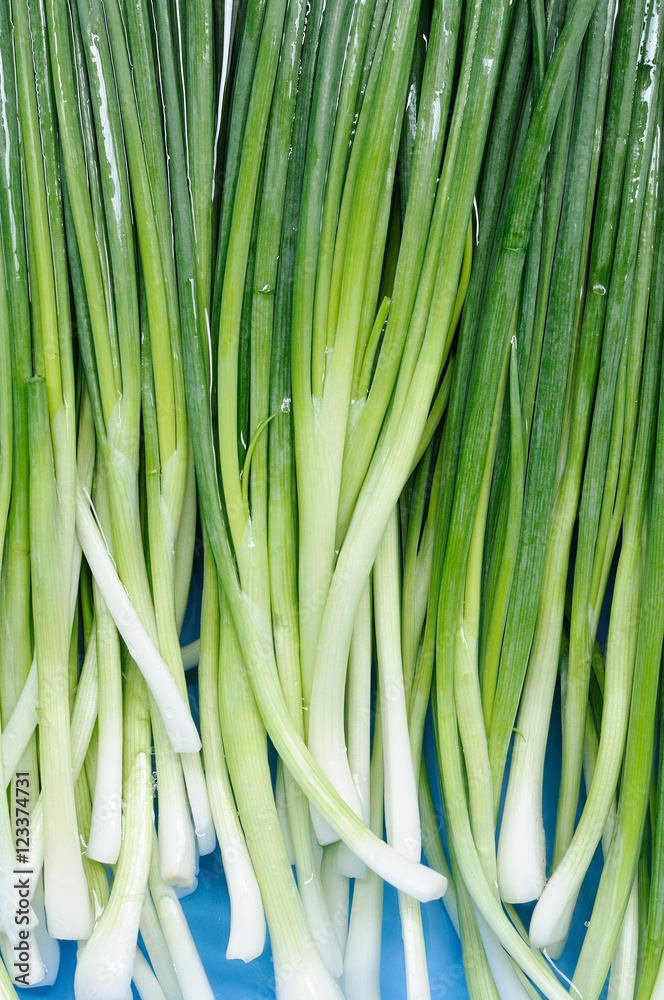Green onions floating on water Green onions floating on water