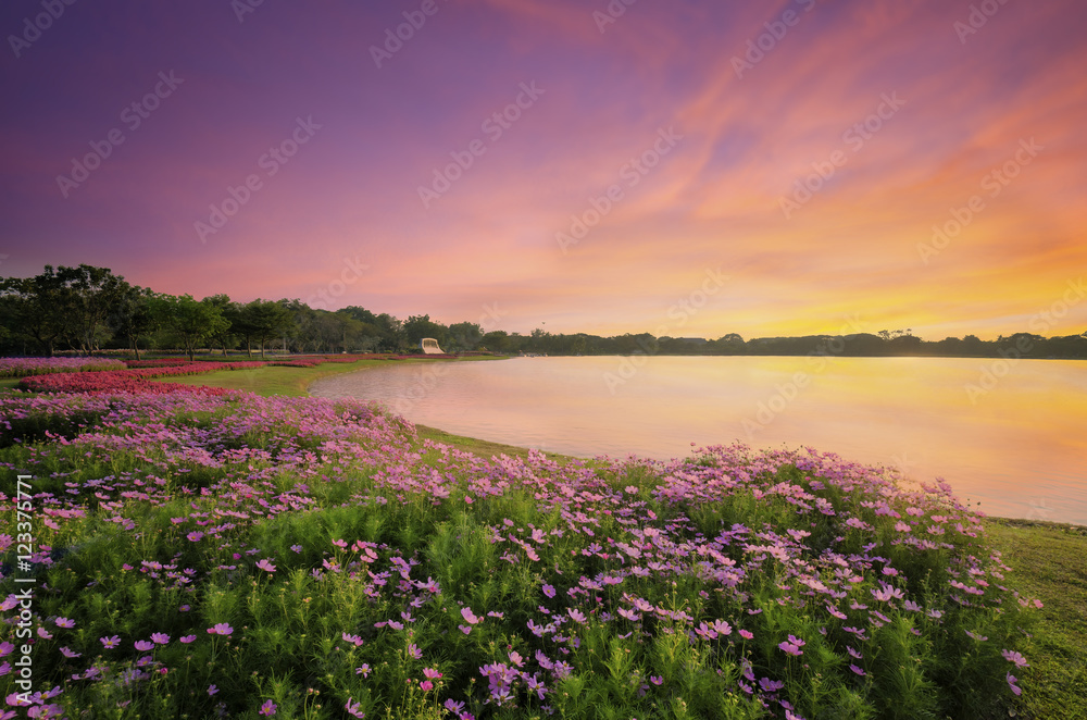 The lak and flowers in public park The lak and flowers in public park