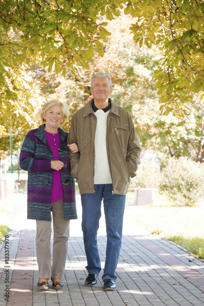 Obraz premium Senior couple relaxing together on a sunny autumn day at park