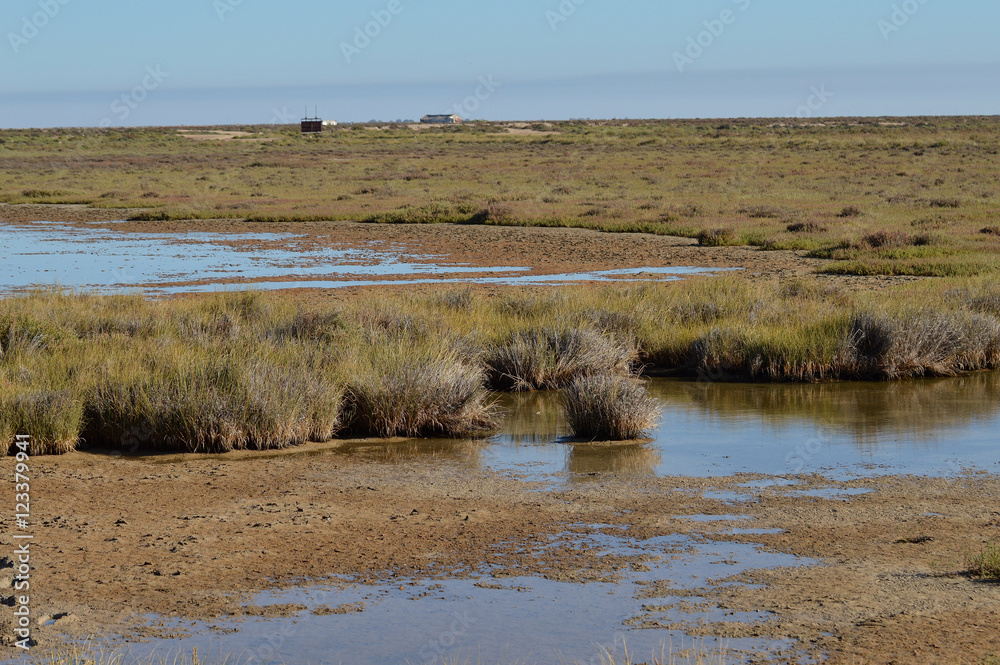 paisajes de aves y marismas en las salinas 