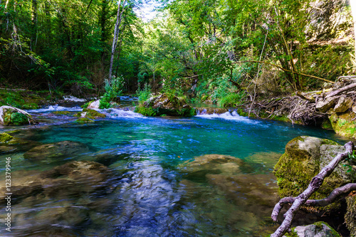 Tropical swimming hole