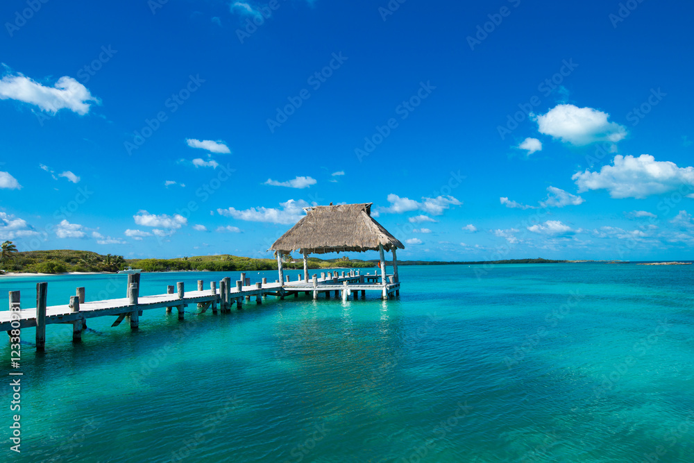 tropical sea tropical sea